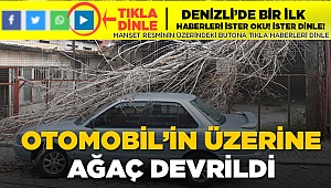 Koca Ağaç Otomobilin Üzerine Devrildi