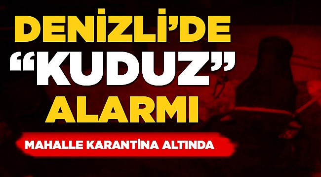 Kuduz Paniği! Mahalle Karantinaya Alındı