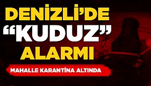Kuduz Paniği! Mahalle Karantinaya Alındı