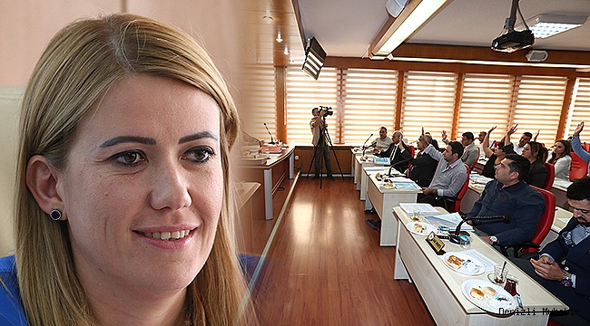 Merkezefendi 2020'de Ne Kadar Harcama Yapacak?