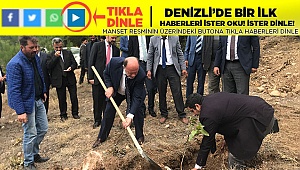 Müftüler Farklılık İçin Ağaç Dikti
