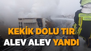 Tırın Dorsesinde Yangın