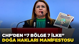 7 Bölge 7 İlke Manifestosunu Karaca  Açıkladı