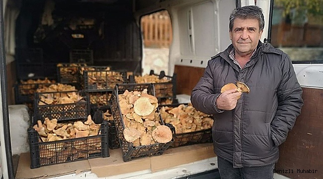 Bu Mantarın Kilosu 30-35 Liraya Satılıyor