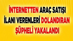 Denizli'de internetten araç satışı ilanı verenleri dolandıran şüpheli yakalandı