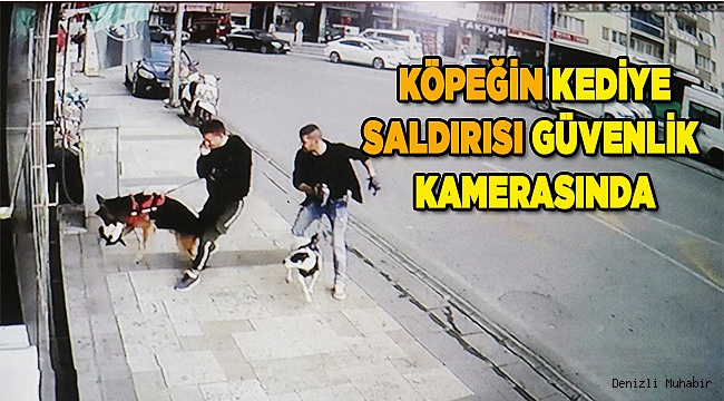 Denizli'de köpeğin kediye saldırısı güvenlik kamerasınca kaydedildi