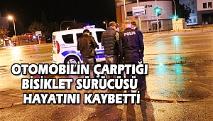 Denizli'de otomobilin çarptığı bisiklet sürücüsü hayatını kaybetti