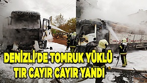 Denizli'de tomruk yüklü tır yandı