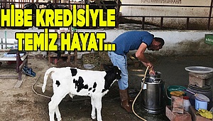 İŞKUR hibesiyle zor günleri geride bıraktı