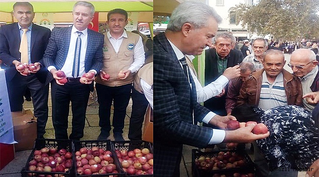 İyi tarım uygulamasına elmalı tanıtım