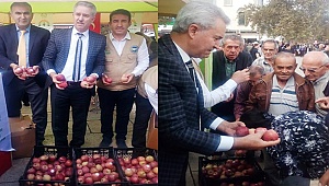 İyi tarım uygulamasına elmalı tanıtım