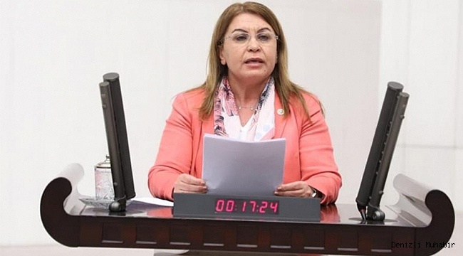 KARACA, ÜZÜMCÜNÜN SORUNLARINI  TBMM’YE TAŞIDI