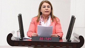 KARACA, ÜZÜMCÜNÜN SORUNLARINI  TBMM’YE TAŞIDI