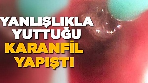 KARANFİL ÇİĞNERKEN BİR KEZ DAHA DİKKAT