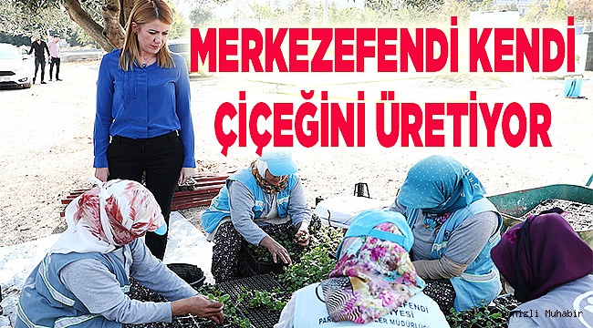 Kendi çiçek üretim serasını kurdu