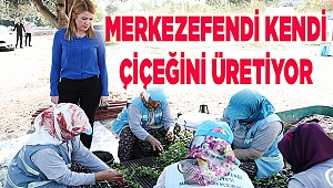 Kendi çiçek üretim serasını kurdu
