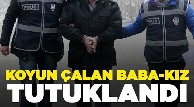Küçükbaş Hırsızı Baba-Kız Tutuklandı