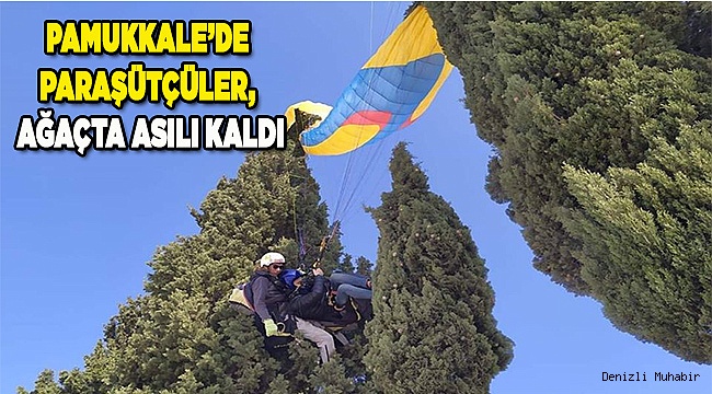 Paraşütçüler, ağaçta asılı kaldı