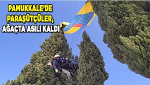 Paraşütçüler, ağaçta asılı kaldı