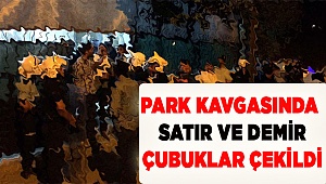 Park meselesinde satırlar konuştu