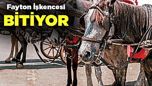 Artık Atlara İşkence Yapılmadan Nostalji Yaşanabilecek
