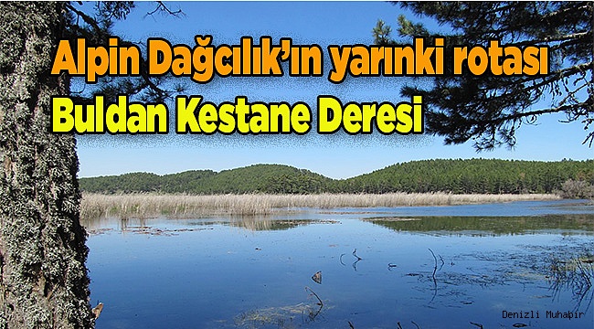 Buldan Kestane Deresi