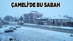 ÇAMELİ'DE BU SABAH