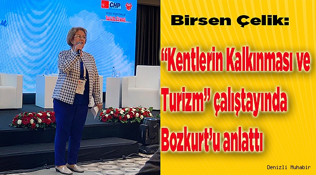 Çelik, İstanbul'da Bozkurt'u anlattı
