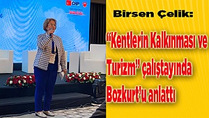 Çelik, İstanbul'da Bozkurt'u anlattı