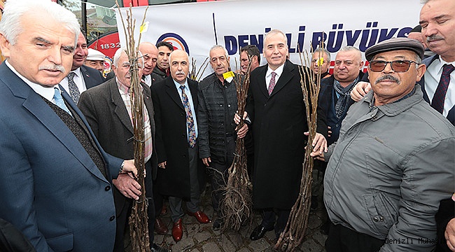 Cevizin başkenti Denizli olacak