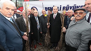 Cevizin başkenti Denizli olacak