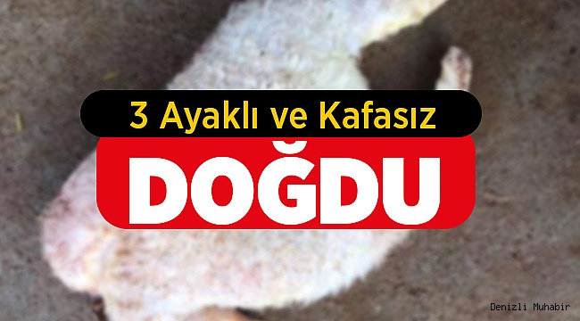 Denizli'de 3 Ayaklı ve Başsız Doğum
