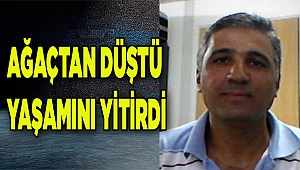Denizli'de ağaç budamak isterken düşen kişi hayatını kaybetti