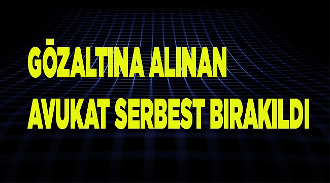 Denizli'de FETÖ soruşturmasında gözaltına alınan avukat serbest bırakıldı