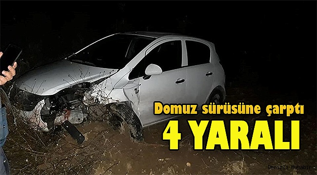 Domuz sürüsüne çarptı, şarampole yuvarlandı