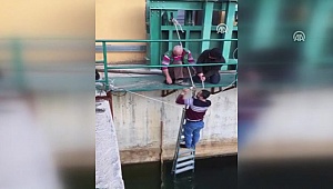 HES'te suya düşmek üzere olan kedi yavrusunu teknisyen kurtardı