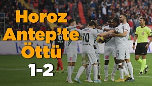 Horoz Antep'te Geri Döndü