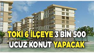 İşte Başvuru Şartları