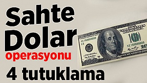 Sahte Dolar Baskını
