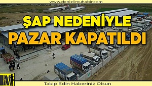 Denizli'de Şap Alarmı!