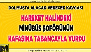 Hareket halindeki dolmuş şoförünün kafasına tabancayla vurdu