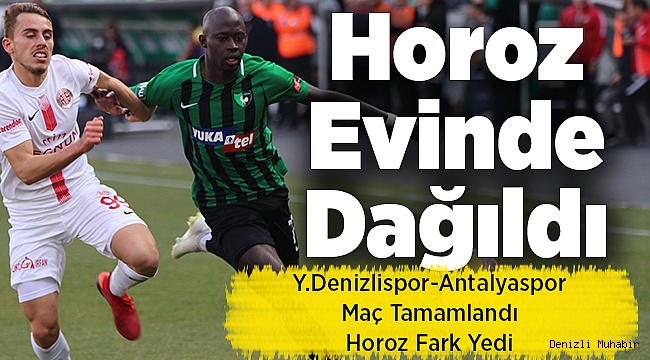 Horoz'a evinde şok skor