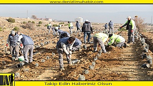 MERKEZEFENDİ’YE LAVANTA BAHÇESİ