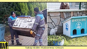 Ahşap atıklar Pamukkale'de kedilere ev oluyor