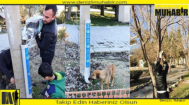 Ülkücüler, sokak hayvanlarını unutmadı