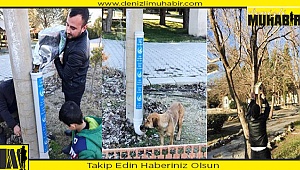 Ülkücüler, sokak hayvanlarını unutmadı