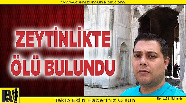 Zeytinlikte ölü bulundu