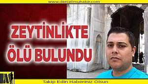 Zeytinlikte ölü bulundu