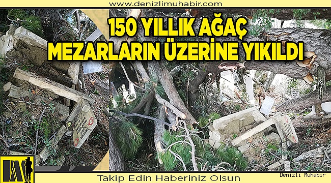 1.5 Asırlık Ağaç Mezarların Üzerine Yıkıldı