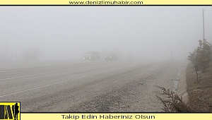 Cankurtaran'da sis ulaşımı olumsuz etkiliyor